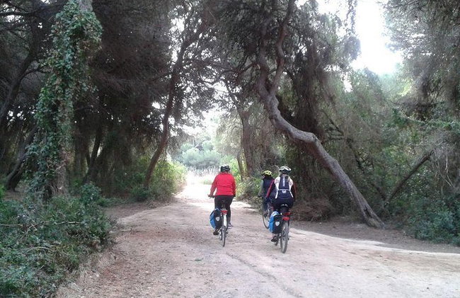 Fahrrad- oder Segway-Tour durch Valencia - Foto 10