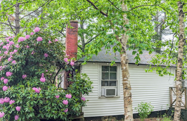 Hinckleys Dreamwood Cottages - Photo 10