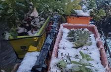 La Vista Sul Castello - Photo 36