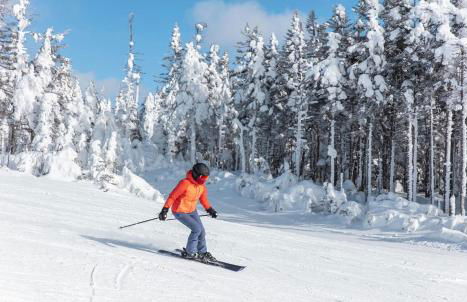 Fireplace, Ski-Okemo, Apple Trees, Piano, Amazing Views, Firepit, Priory, Pool, Fields, Theatre! - Foto 70