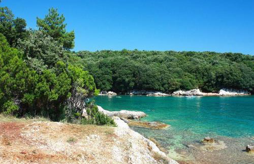 Villa Luma Apartments - Foto 21