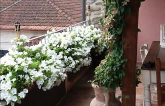 Tipico rustico Toscano vicino alle Cinque Terre - Foto 9