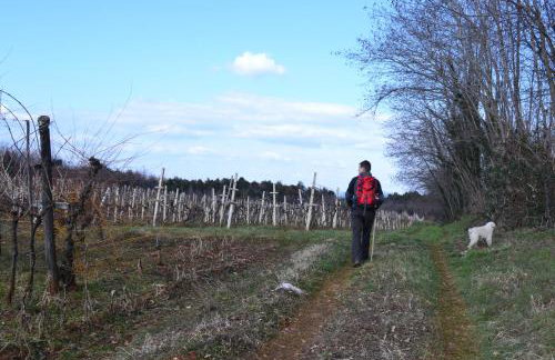 Apartments Lazzarini Battiala - Foto 46