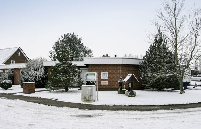 Mondmuschel - Foto 2