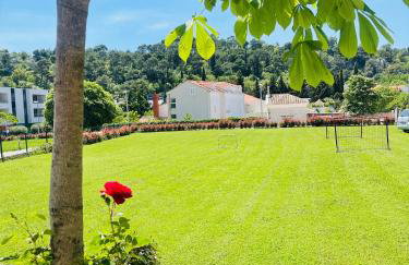 Villa Barovic - Delux Apartment - Foto 44