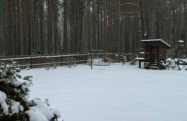 Chata przy lesie - Foto 60