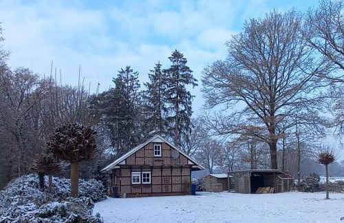 Hexenhäuschen im Ammerland - Foto 22