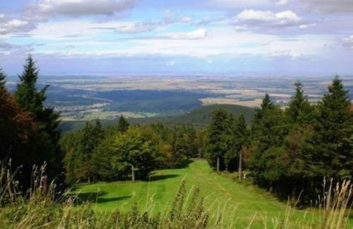Wohnung in Waldnähe - Foto 32