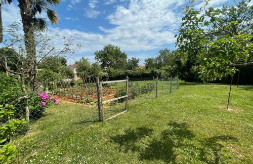 Apartment Benky Pican - Foto 34