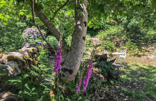 An T'abhall - Foto 17