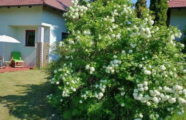 Apartamenty Zielona Góra - Foto 22