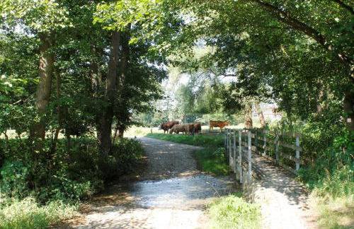 Haus Sabine - Foto 13