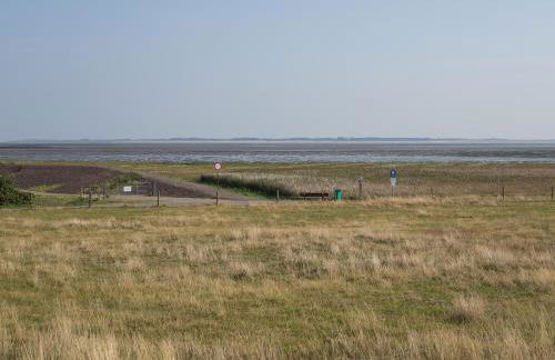 Haus Bräätlun Ferienwohnung Bräätlun 4 - Photo 59