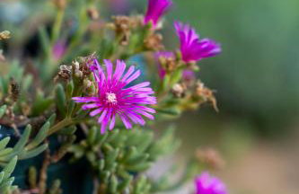 House4Seasons - Foto 59