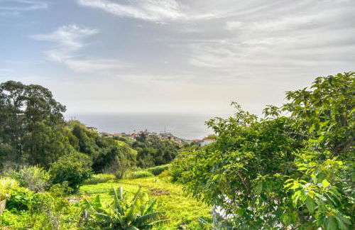 Cantinho da Mikaela, A Home in Madeira - Foto 38