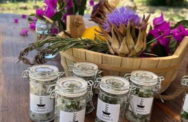 Calanave 10 - Foto 14