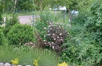 Sielanka Wydmy i Las - Foto 16