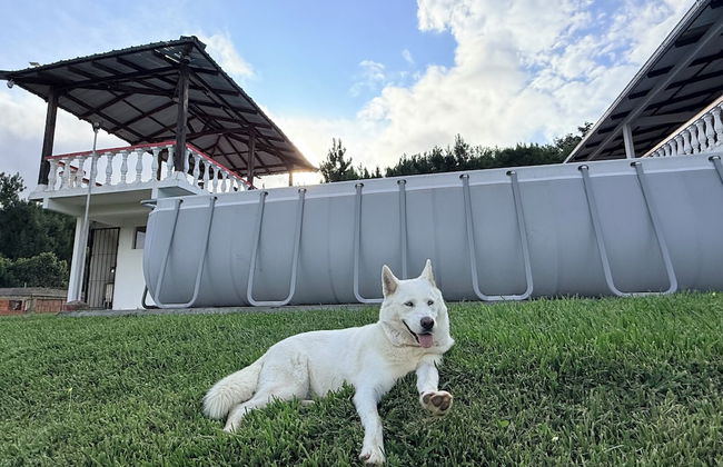 Finca Villa Maju & Finca Villa Maju km24 - Foto 31