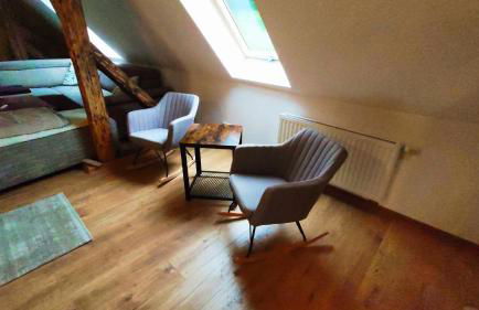 Historisches Aschberg Haisl Klingenthal, Terrasse, großer Garten 6 plus 2 Personen - Photo 7