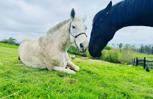 Casa La alemana - Foto 26