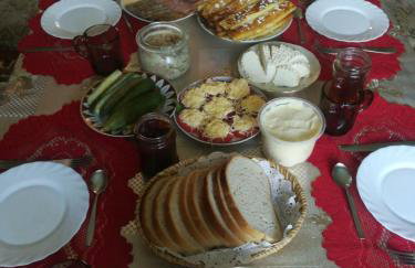 Agroturystyka u Basi śniadanie wliczone w cenie - Foto 33