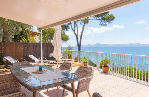 Far alcanada - Foto 46