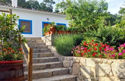 Quinta da Idalina - Foto 54