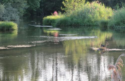 Ferienhaus am Mühlenbach, 110qm - Foto 28