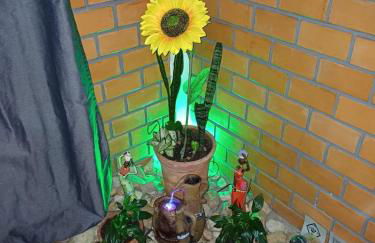 Sol do Girassol - Foto 1