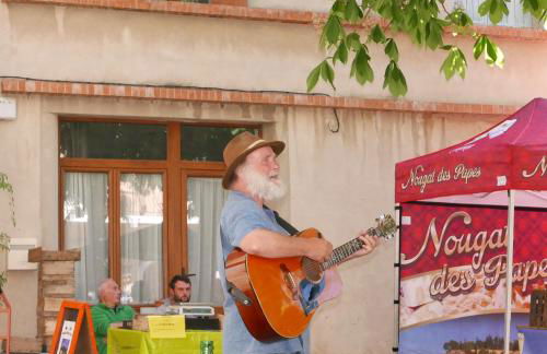 Chateau des Gipières bij de Mont Ventoux - Foto 65