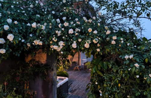 Villa Maria Apartments - Foto 38