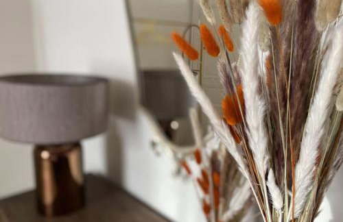 Le cocon du Faubourg - Foto 7