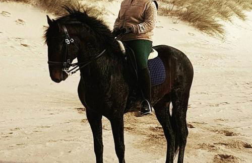 Casa Fernando Casquinha - Foto 18