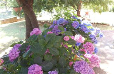 Apartment Ines - Foto 33