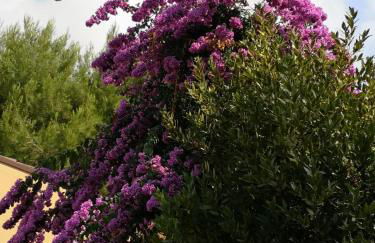 La Buganvilla - Foto 4