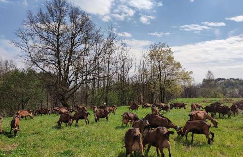 Cascina Bagaggera - Foto 27