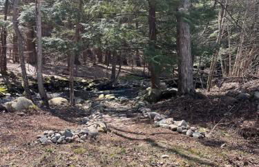 Twin Pines Lake Resort 1 - Foto 26