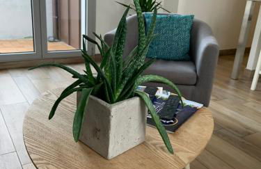 Terrasse vue cathédrale et beffroi hyper centre - Foto 8