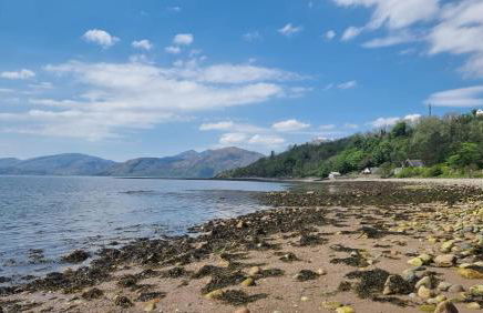 Highland Hideaway - Photo 64