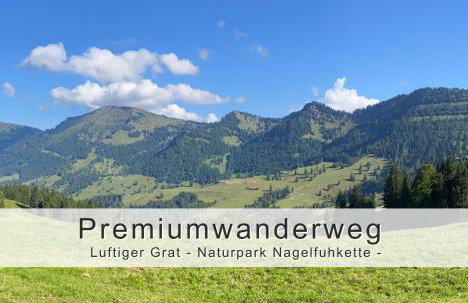 FeWo "Fräulein-Fink" bei Oberstaufen im Allgäu - Alpsee 5 Min - neue großzügige Südterrasse mit Garten - gratis WLAN - Waschmaschine - Garage mit Wallbox - Foto 11