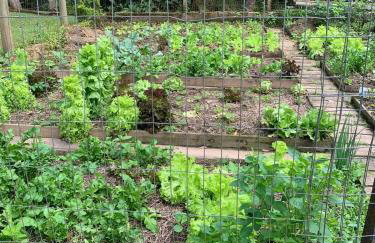 Refúgio do Brilhantte-Belo sítio com piscina e spa - Photo 73