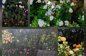 Ferienwohnung Just - Photo 10