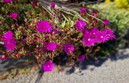 Abina-Eugene - Foto 30