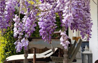 All'Ombra Del Tiglio - Foto 38