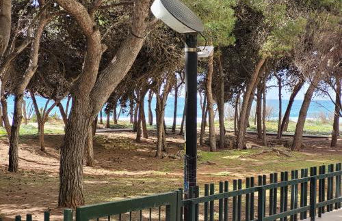 FRONTE PINETA MARE RIVABELLA - Foto 15