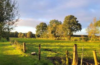 Ferienwohnung Moin Moor mit Klima, Fussbodenheizung und WLAN - Foto 21