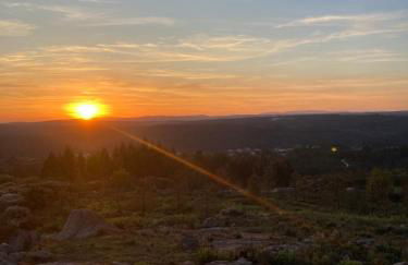 Relax Container - Foto 42