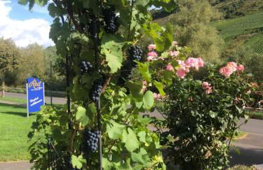 Haus Nummer 1, Moselblick - Foto 4