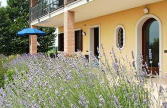 Agriturismo Tenuta Regina - Glamping luxury lodges and apartments - Photo 84