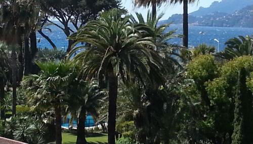 Sea Side apartment - Foto 5, Garden